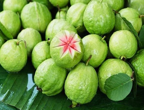 Điềm báo gì trong tương lai nếu mơ thấy quả ổi Ku bet?